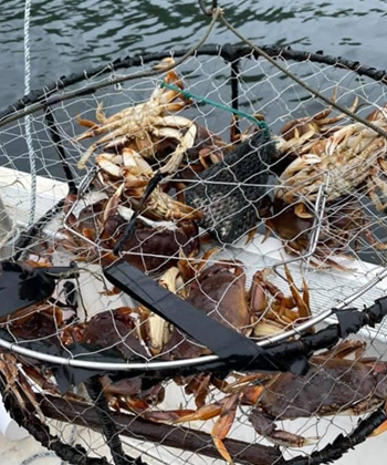Crabbing in ketchikan