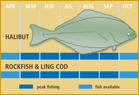 Halibut Fishing Chart Calendar