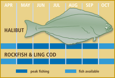 Halibut Fishing Chart Calendar Halibut Fishing Chart Calendar