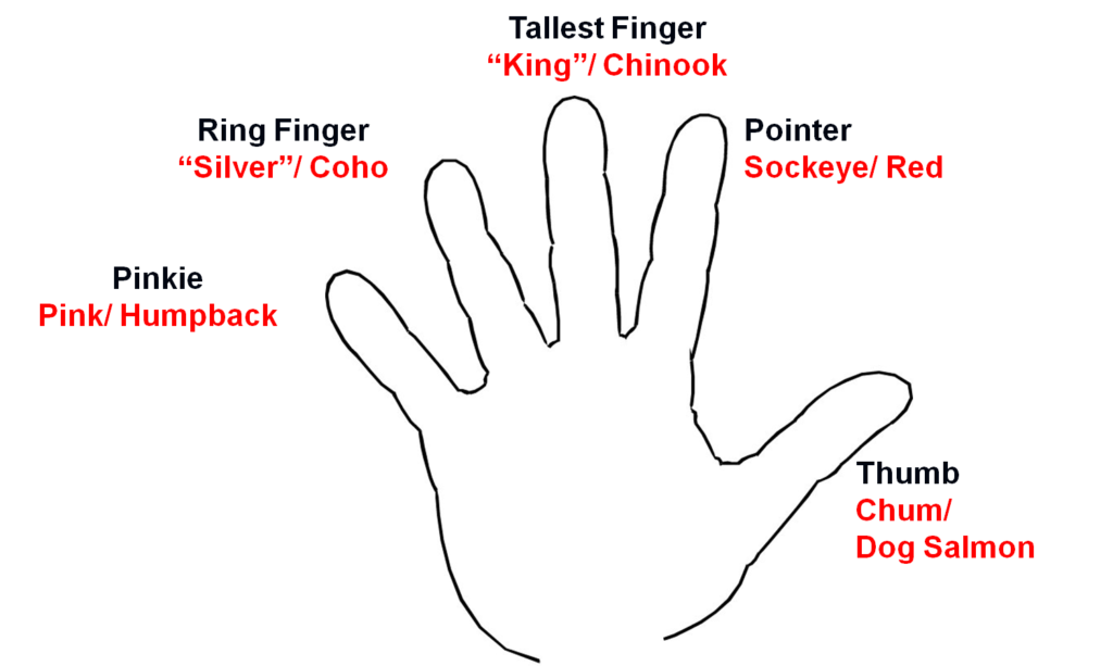 Salmon Fishing Charter in Ketchikan Alaska Up to 14 Guests