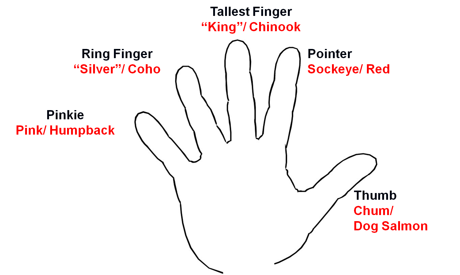Hand chart showing the 5 types of species for Salmon