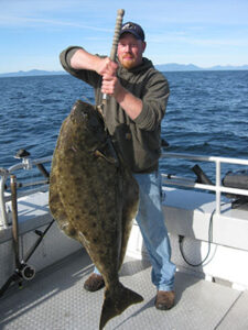 Catching a Halibut