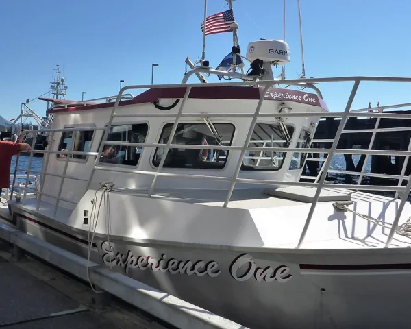 Experience One Boat