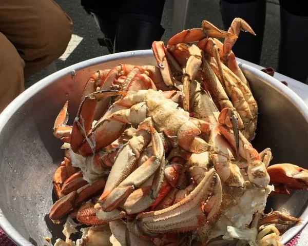 bucket of crab