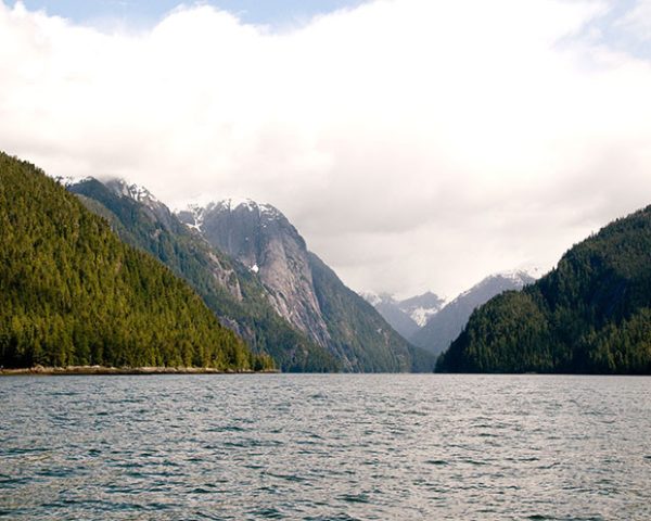 Walker Cove Walker Cove